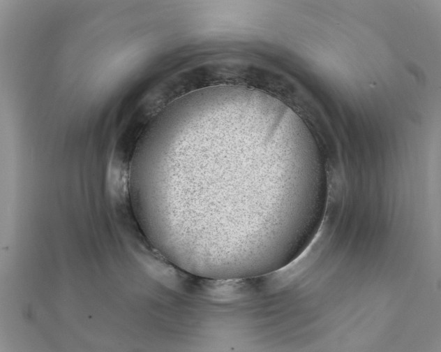 X0000112080191200908181250