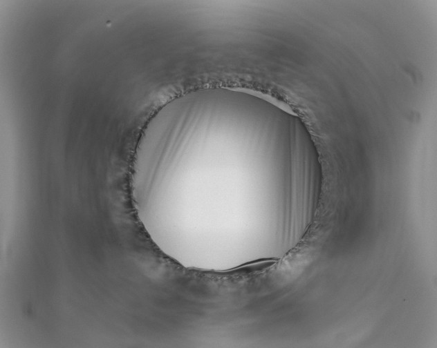 X0000112080192200908181250