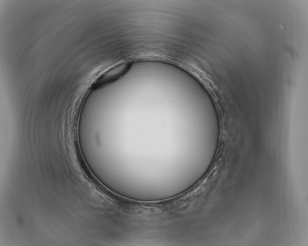 X0000112080193200908181249