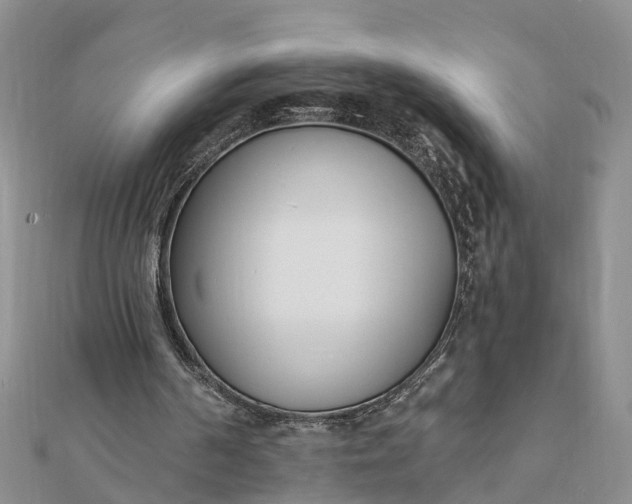 X0000112080194200908181249