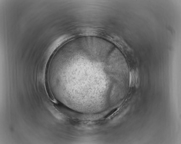 X0000112080195200908181249