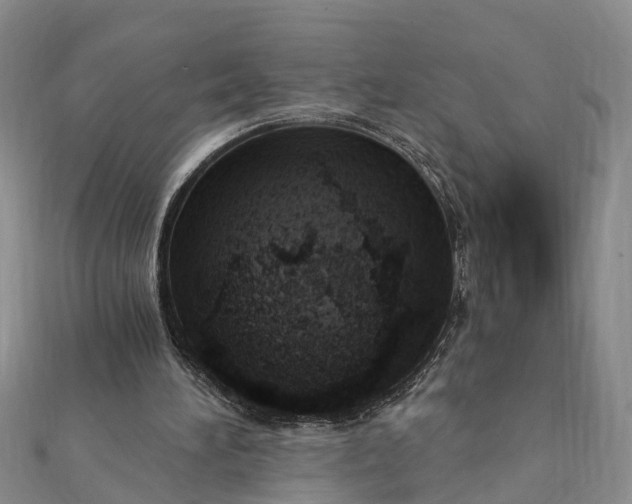 X0000112080196200908181249