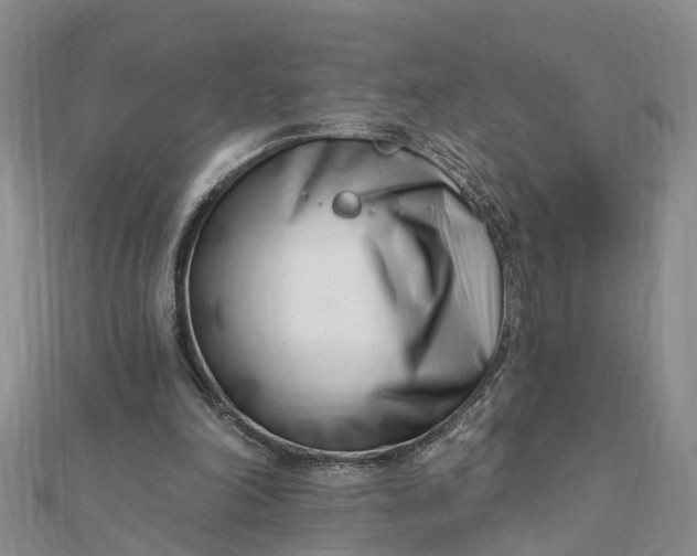 X0000112080198200908181249