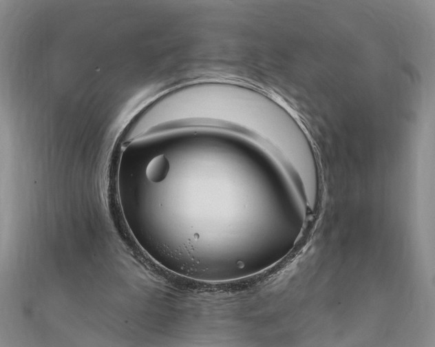 X0000112080199200908181249