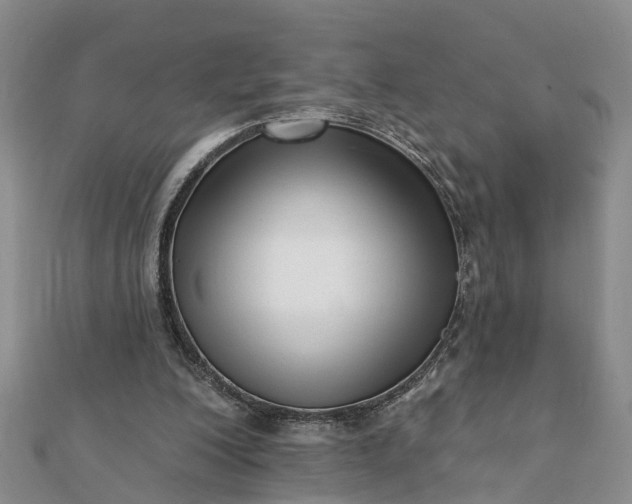 X0000112080200200908181249