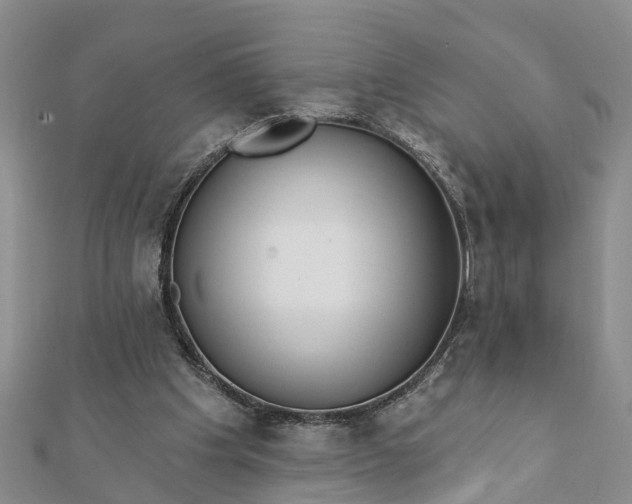 X0000112080201200908181249