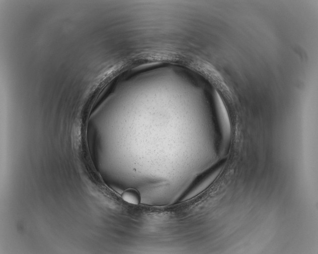 X0000112080202200908181249