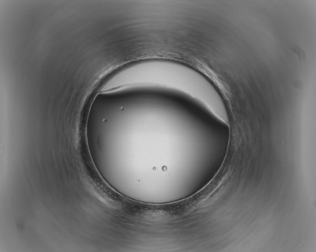 X0000112080203200908181249