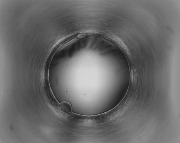 X0000112080204200908181249