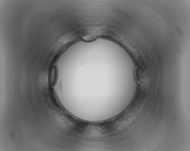 X0000112080207200908181249