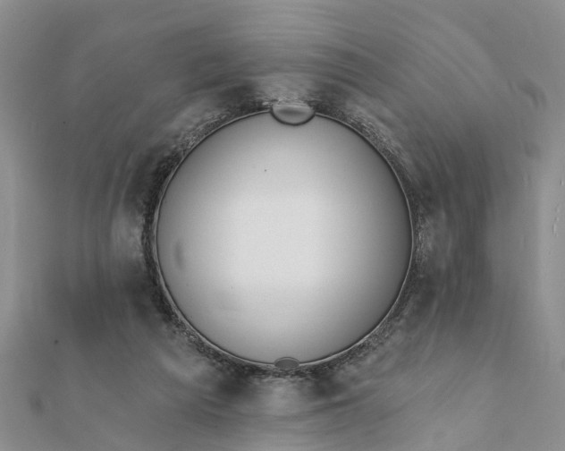 X0000112080209200908181249