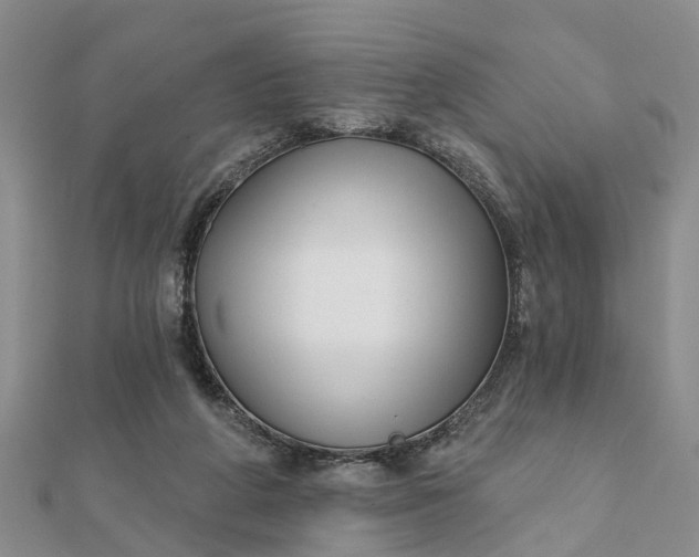 X0000112080210200908181249