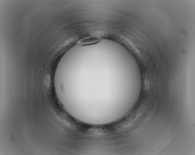 X0000112080211200908181249