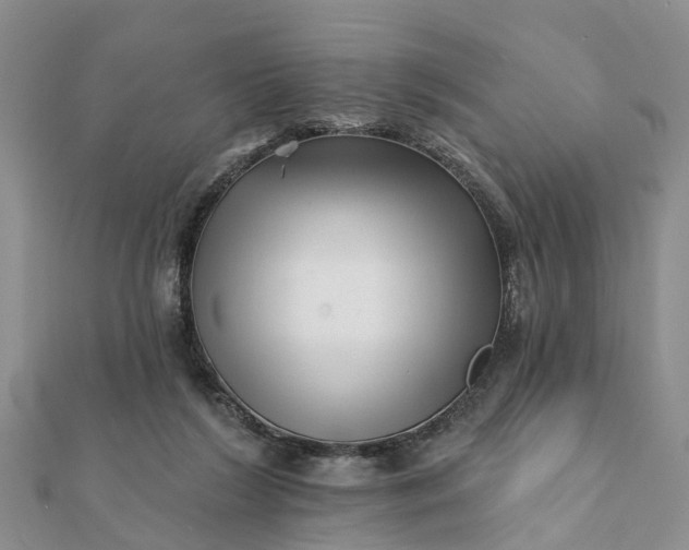 X0000112080212200908181249