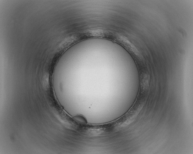 X0000112080213200908181249