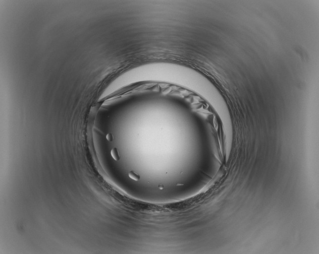 X0000112080215200908181249