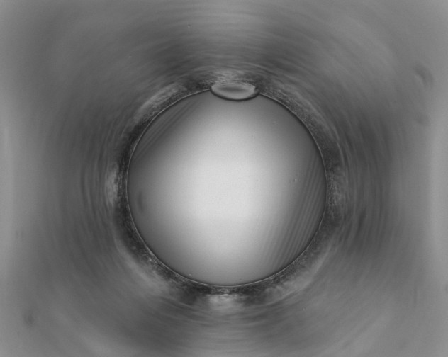 X0000112080216200908181249