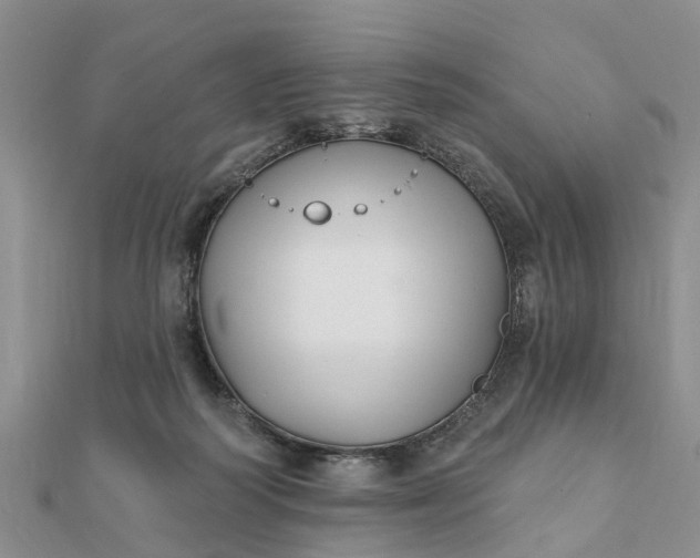 X0000112080218200908181249