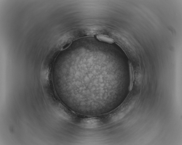 X0000112080219200908181249