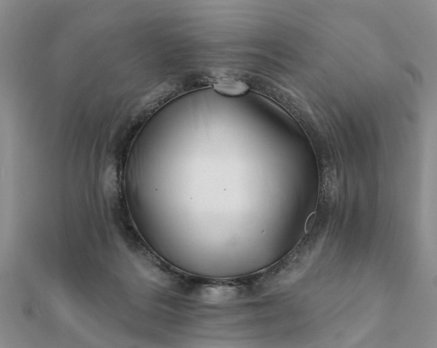 X0000112080220200908181249