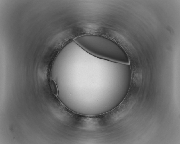 X0000112080221200908181249