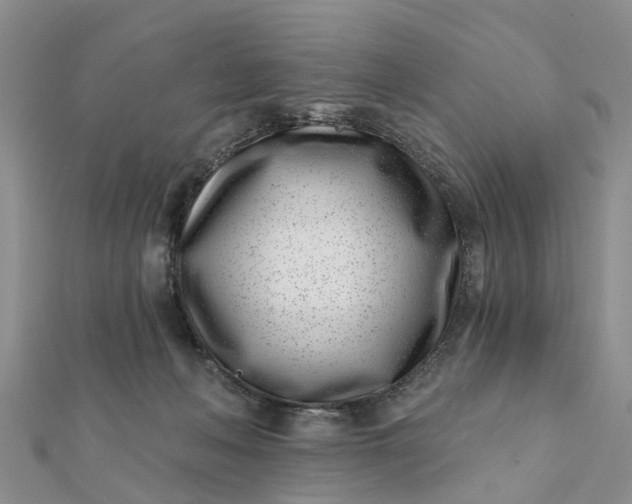 X0000112080222200908181249