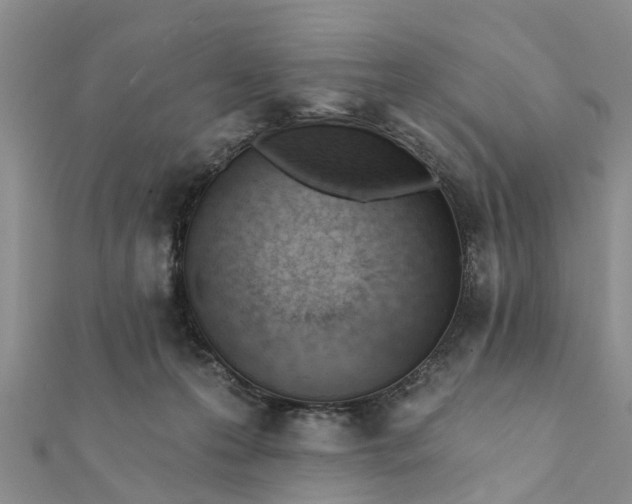 X0000112080223200908181249