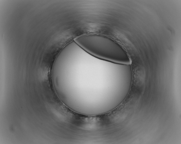 X0000112080225200908181249