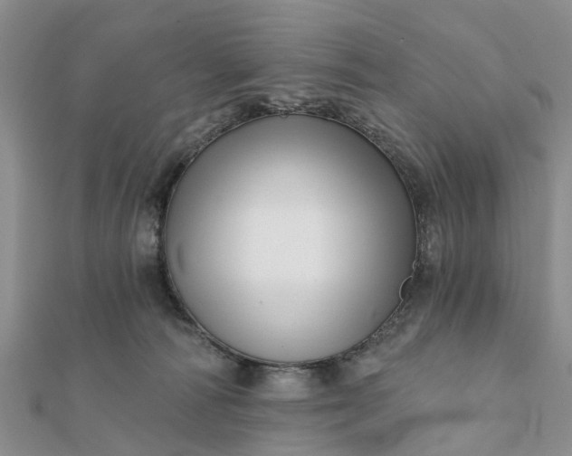 X0000112080226200908181249