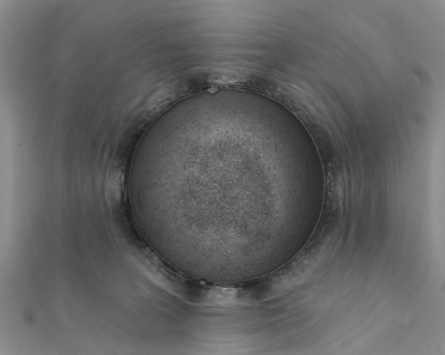 X0000112080227200908181249