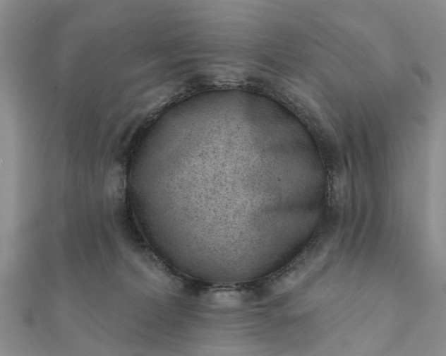 X0000112080228200908181249