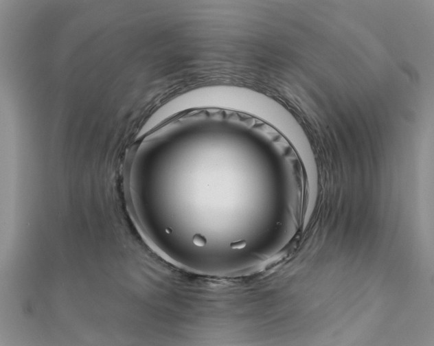 X0000112080229200908181249