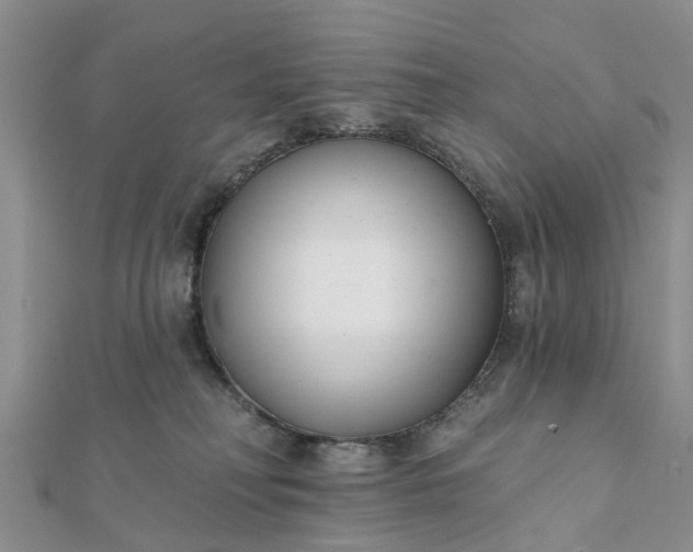 X0000112080230200908181249