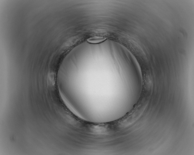 X0000112080232200908181249