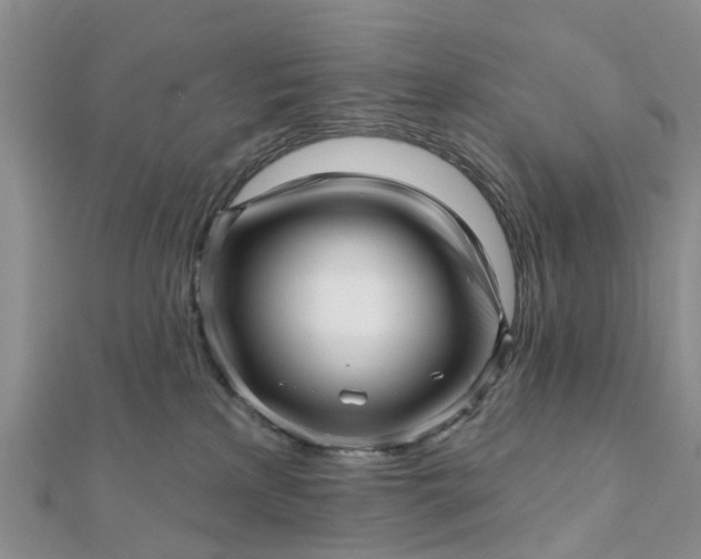 X0000112080233200908181249