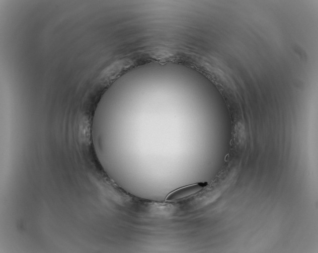 X0000112080234200908181248