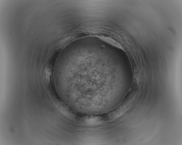 X0000112080235200908181248