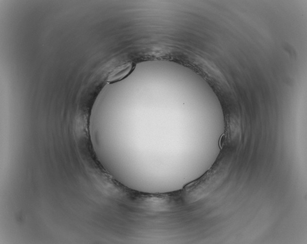 X0000112080236200908181248