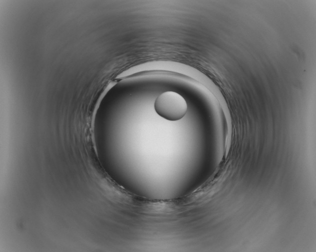 X0000112080237200908181248