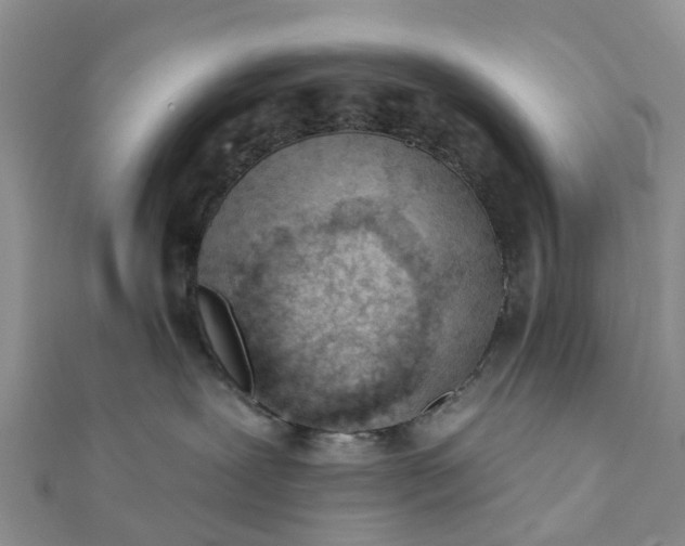 X0000112080239200908181248