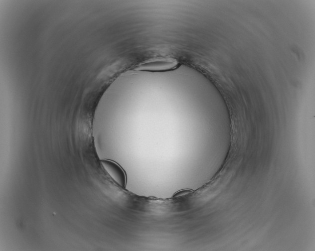 X0000112080240200908181248