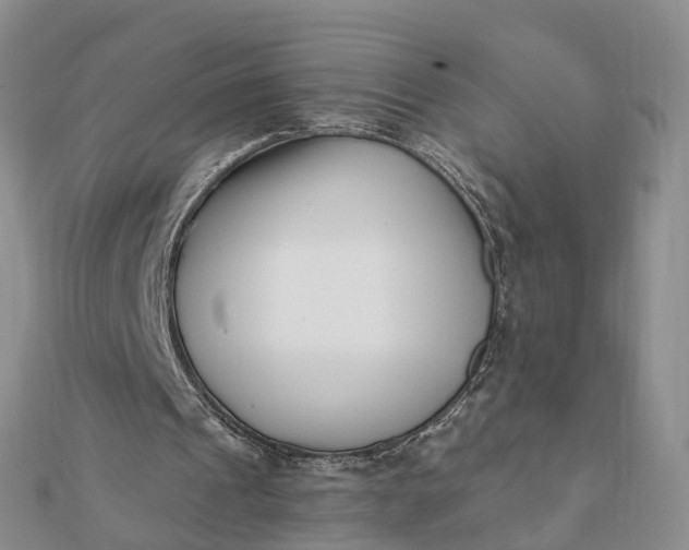 X0000112080241200908181248