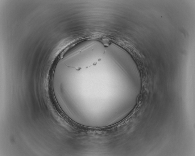 X0000112080242200908181248