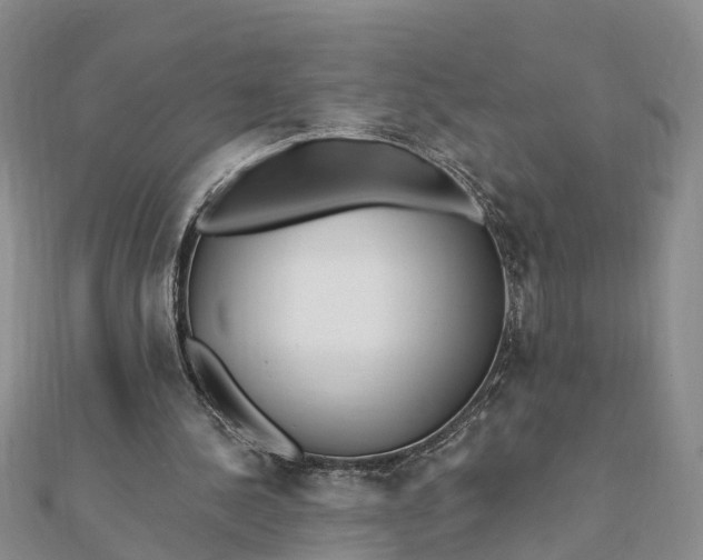 X0000112080244200908181248