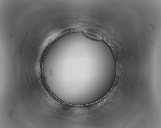 X0000112080245200908181248