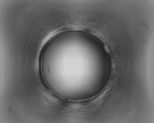 X0000112080246200908181248