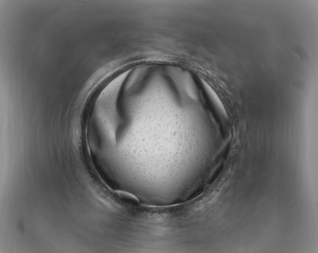 X0000112080247200908181248