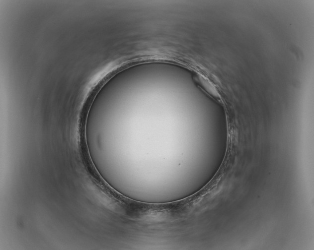 X0000112080248200908181248