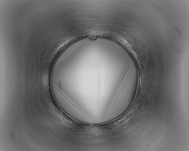 X0000112080249200908181248