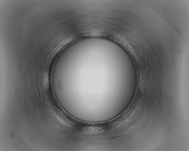 X0000112080251200908181248